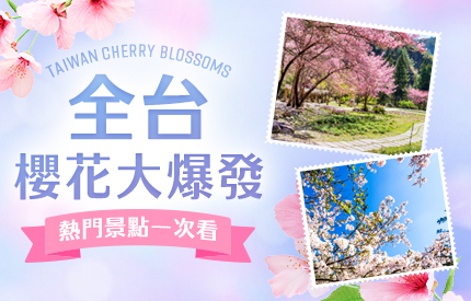 全台櫻花季