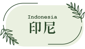 印尼 自由行 印尼 自由行