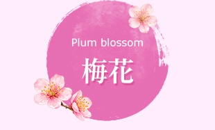 梅花 賞花 台灣
