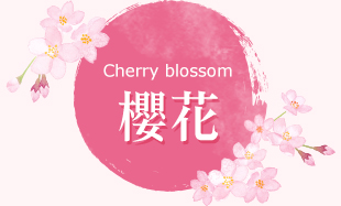 櫻花 賞花 台灣 cherry blossom