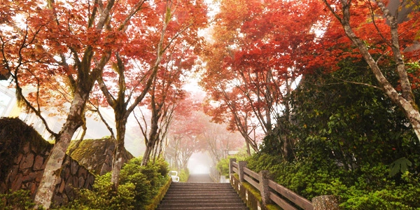 宜蘭太平山