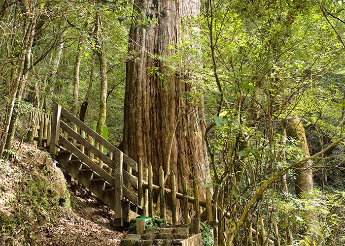 拉拉山