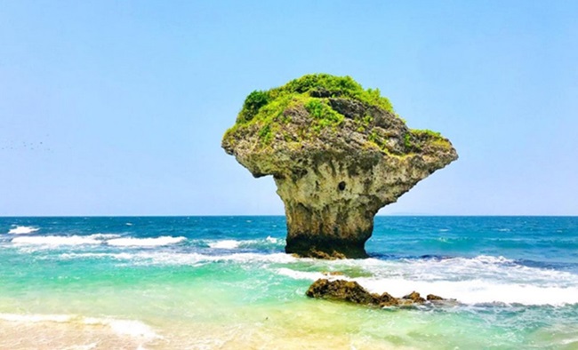 【高鐵旅遊】搭乘台灣好行．小琉球自選民宿自由行2日