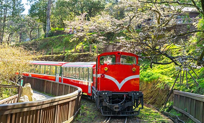 【高鐵旅遊】嘉義阿里山.奮起湖森鐵小火車.祝山日出2日