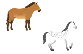 馬