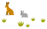 兔子