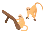 猴子