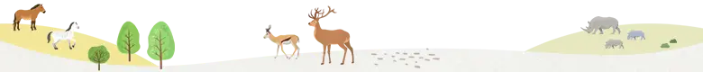 動物背景