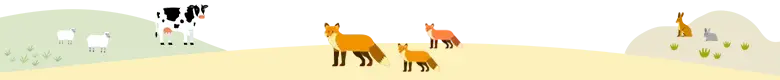 動物背景