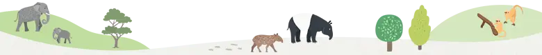 動物背景