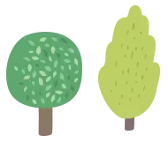 2顆樹