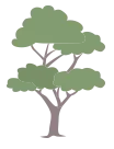 一棵樹