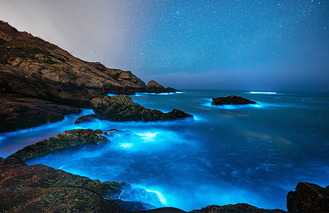 連休瘋馬祖》風情南北竿.海上藍眼淚.大坵島梅花鹿.地中海芹壁村3日