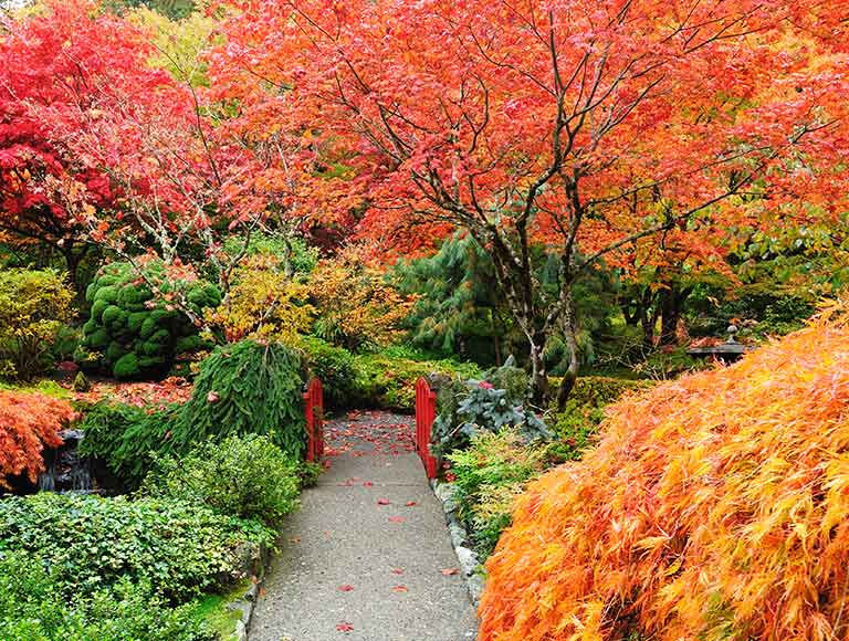 布查花園