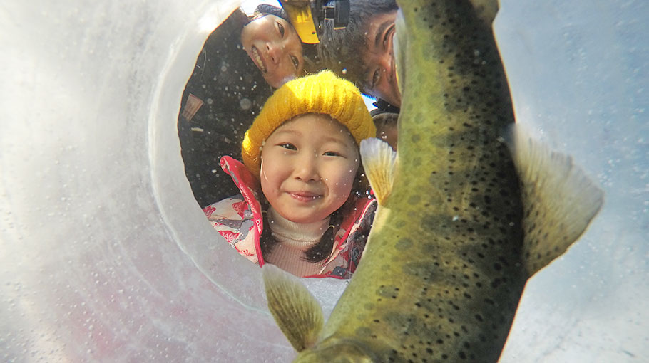 華川鱒魚冰雪節