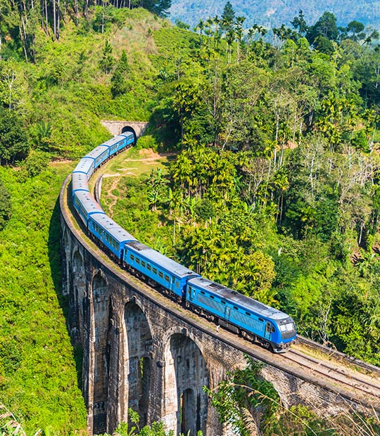 高山茶園火車