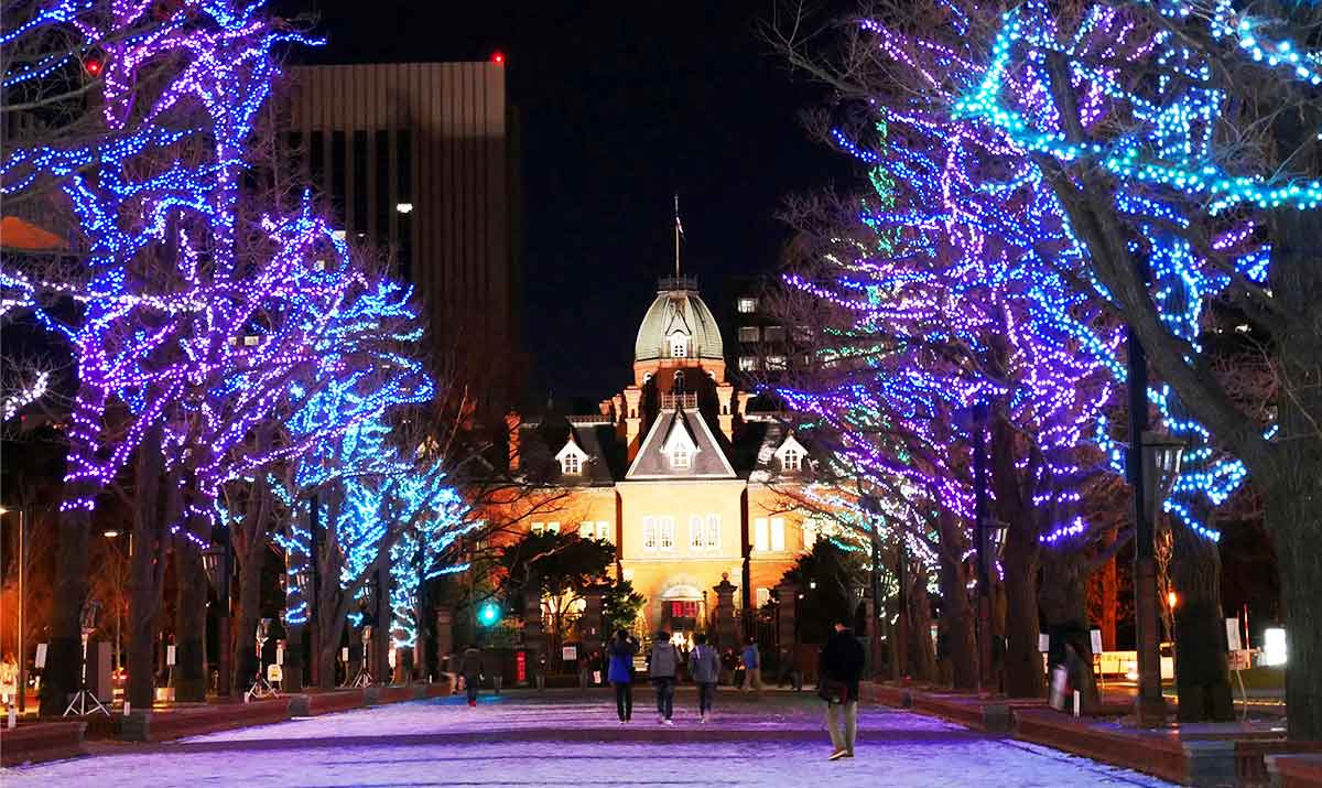 札幌 白色燈樹節夜景