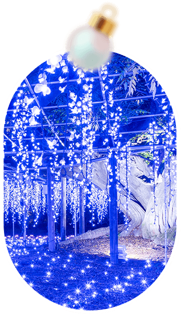 日本冰紛冬祭足利花卉公園 日本冰紛冬祭足利花卉公園