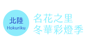 名花之里 冬華彩燈季時間