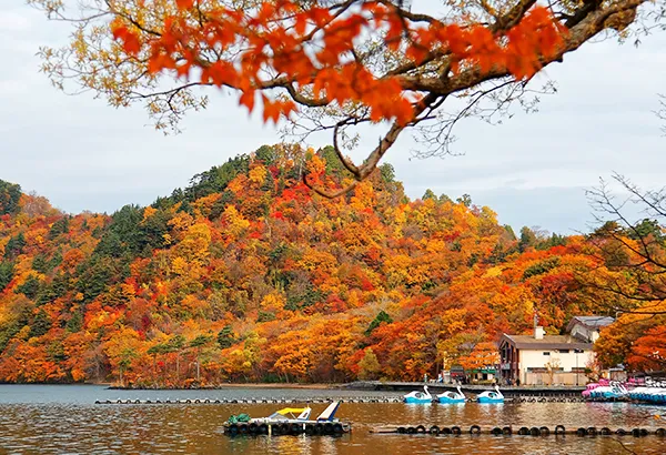 楓葉十和田湖