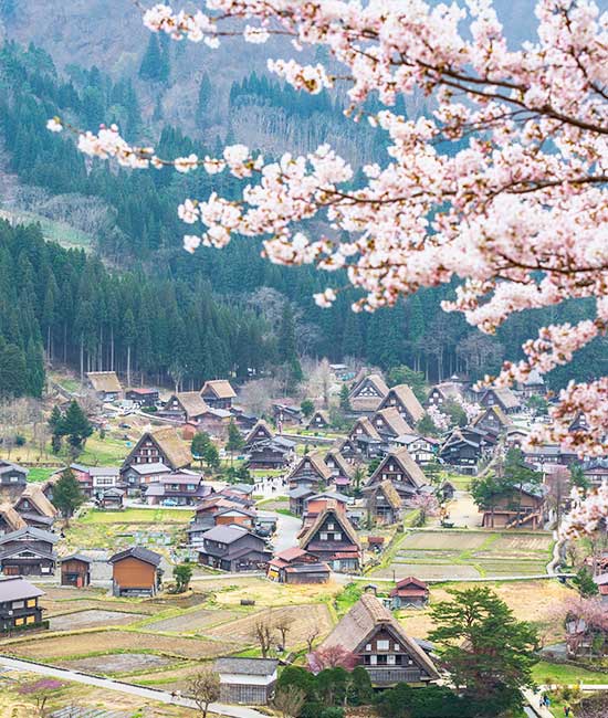 白川鄉合掌村