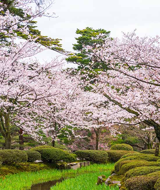 兼六園