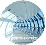 世界第一的自立式電波塔 晴空塔