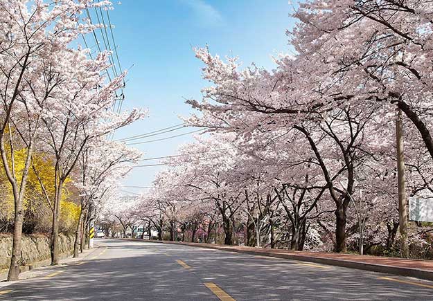 前山公園 前山公園