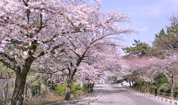 大王岩公園