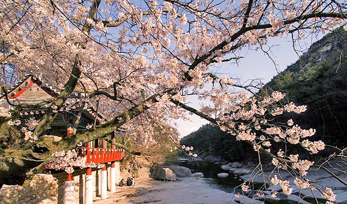 酌川亭