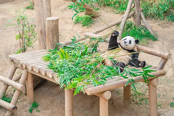 樂天世界 樂天世界