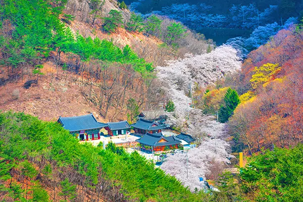 馬耳山道立公園 馬耳山道立公園