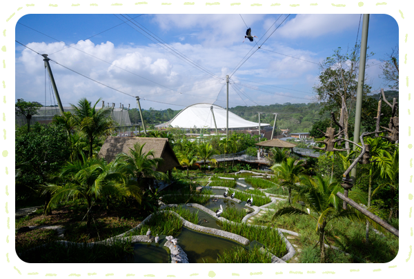 新加坡飛禽公園園區