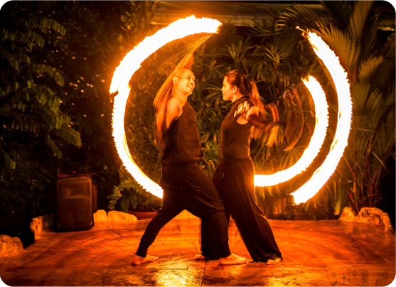 夜間野生動物園火舞