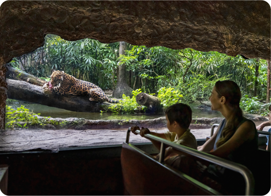 河川生態園亞馬遜河探索 河川生態園亞馬遜河探索