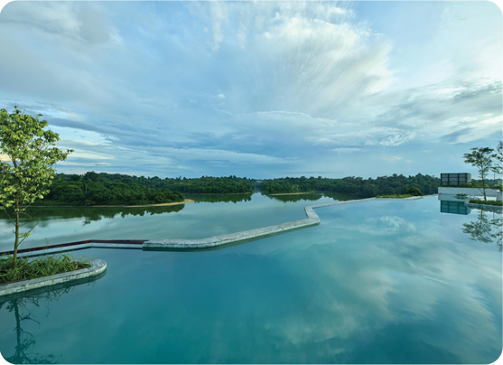 萬態雨林悅榕庄園景