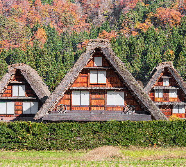 飛驒高山古街+白川鄉合掌村一日遊◆即訂即購》名古屋自由配