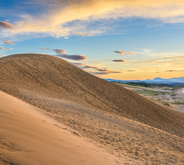 台灣虎航◆即訂即購》鳥取自由配