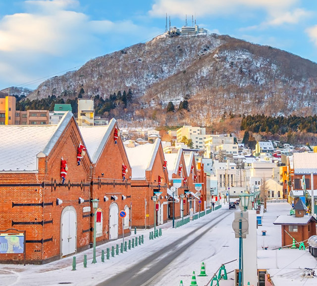 星宇航空◆即訂即購》函館自由配