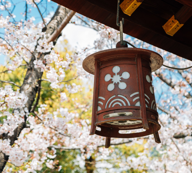 心齋橋、難波、本町地區◆即訂即購》大阪、京都自由配